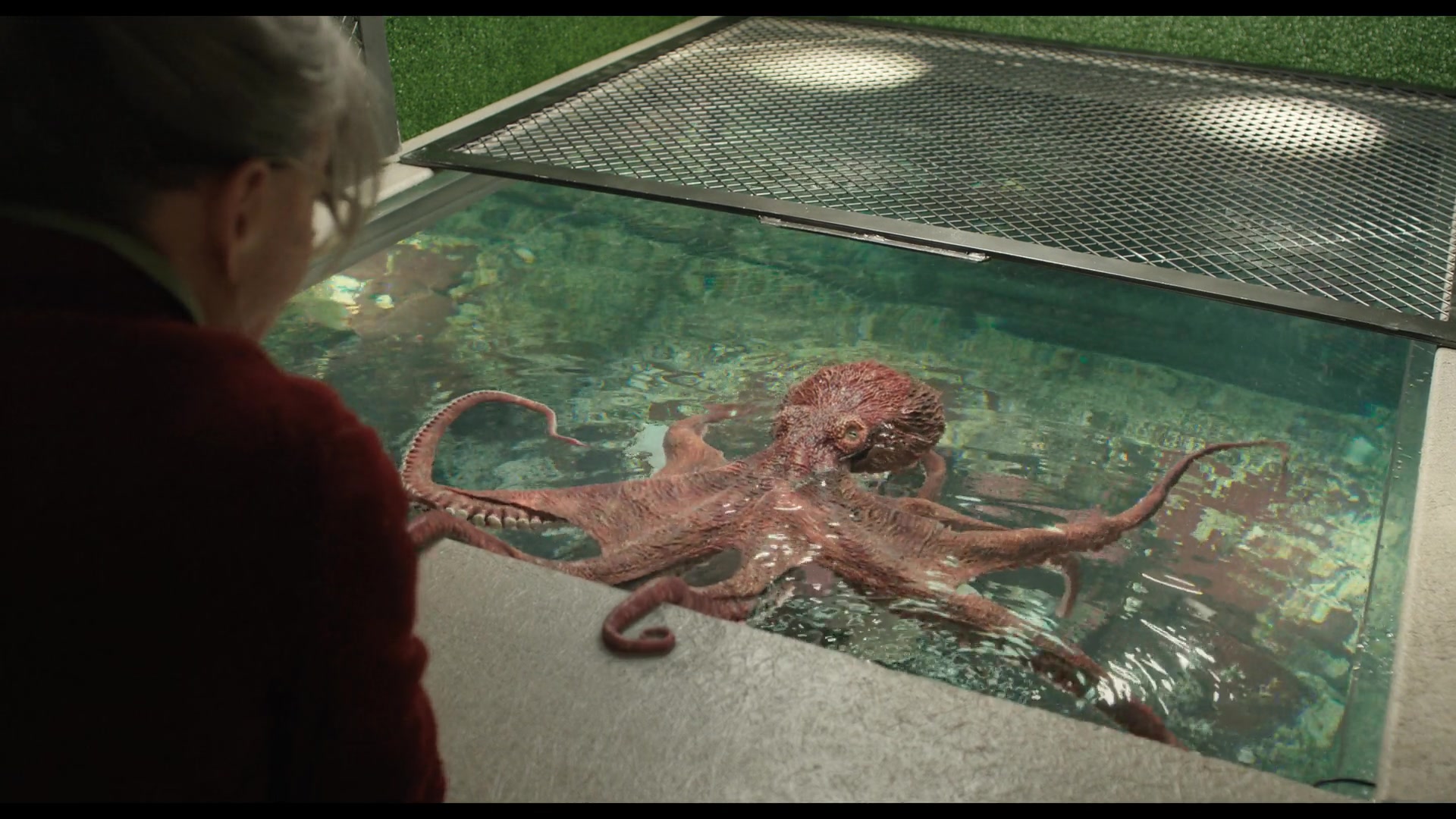 Films on relationships, one remarkable, one nightmarish